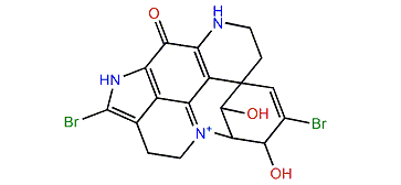 14-Bromo-1-hydroxydiscorhabdin V